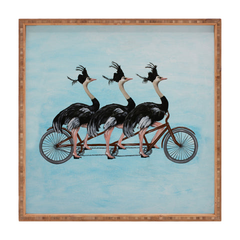 Coco de Paris Ostriches on bicycle Square Tray