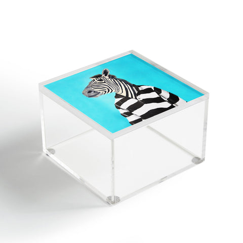Coco de Paris Stripy Zebra Acrylic Box