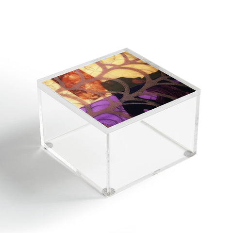 Conor O'Donnell Eidi5 Acrylic Box
