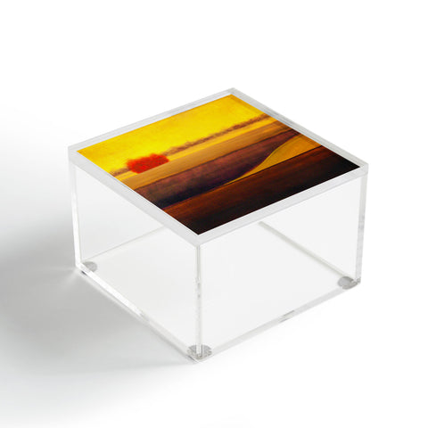 Conor O'Donnell Land Study Six Acrylic Box