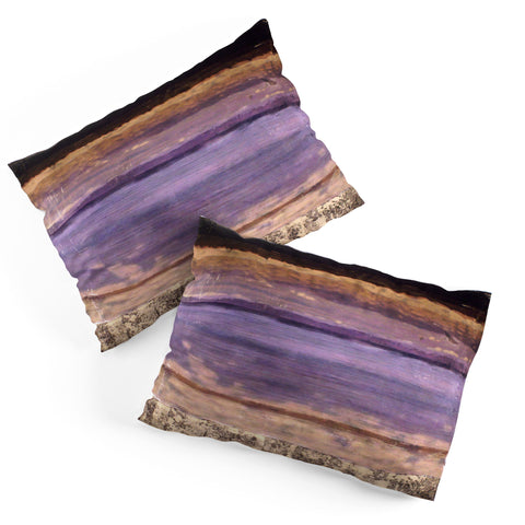 Conor O'Donnell Tara 2 Pillow Shams