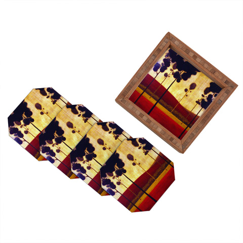 Conor O'Donnell Tree Study 12 Coaster Set