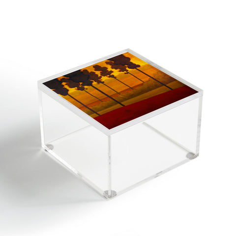 Conor O'Donnell Tree Study 17 Acrylic Box