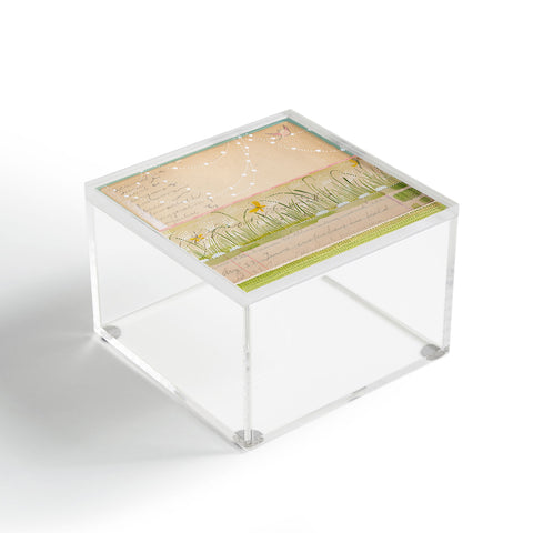 Cori Dantini Horizontal Acrylic Box