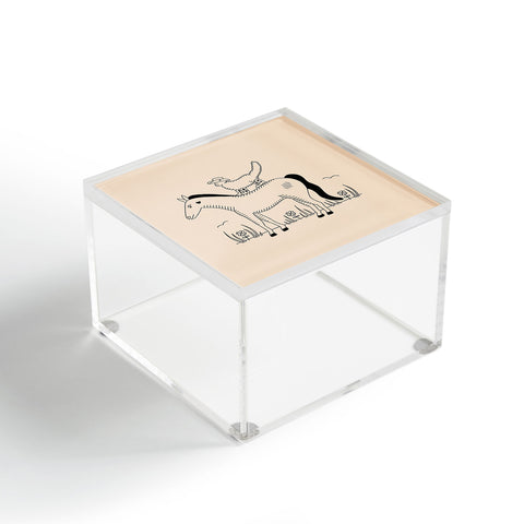 Cowgirl UFO Meowdy Yall Acrylic Box