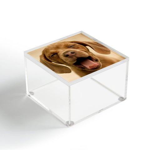 Create Your Own Custom Acrylic Box