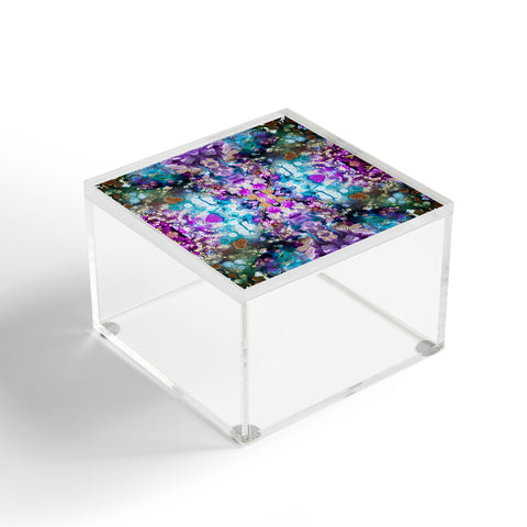 Crystal Schrader Treasure Chest Acrylic Box