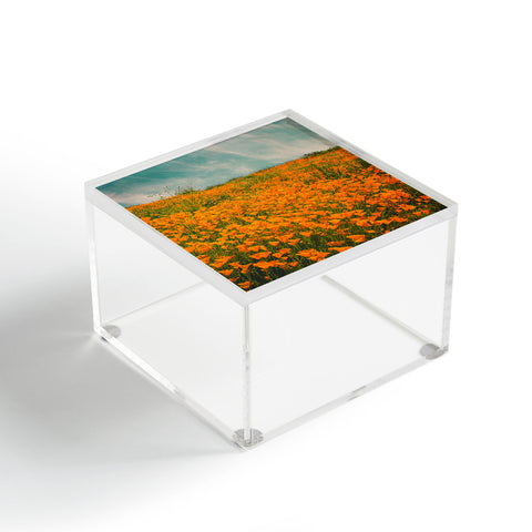 Cuss Yeah Designs California Poppy Field Acrylic Box