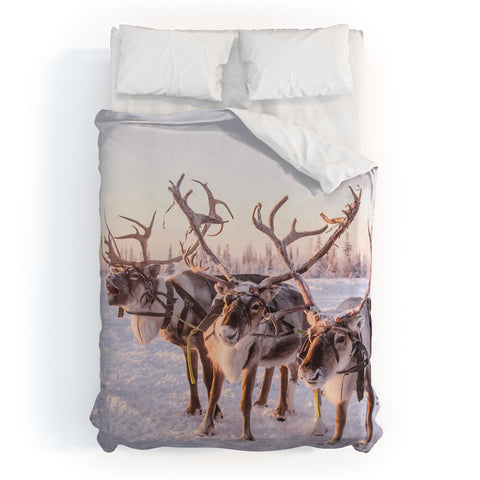 Dagmar Pels Reindeer portrait in snow Duvet Cover