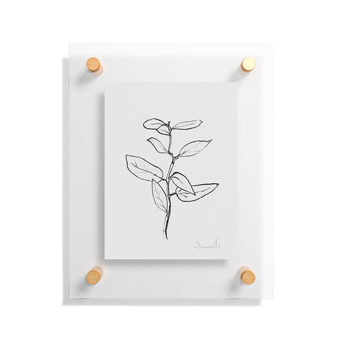 Dan Hobday Art Eucalyptus sapling Floating Acrylic Print