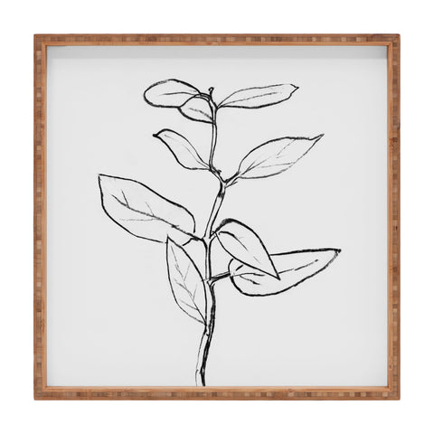 Dan Hobday Art Eucalyptus sapling Square Tray