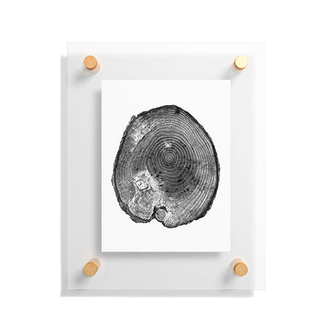 Dan Hobday Art Pine Log Floating Acrylic Print