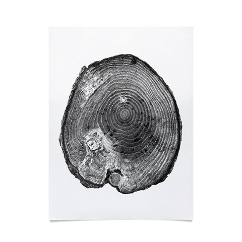 Dan Hobday Art Pine Log Poster