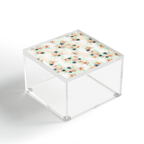 Dash and Ash At Magnolia Acrylic Box