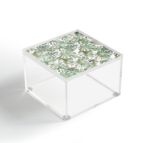 Dash and Ash Climbing Monstera Acrylic Box