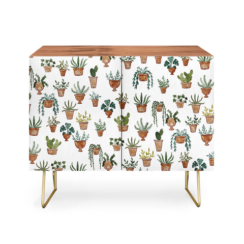 Dash and Ash Happy potted plants Credenza