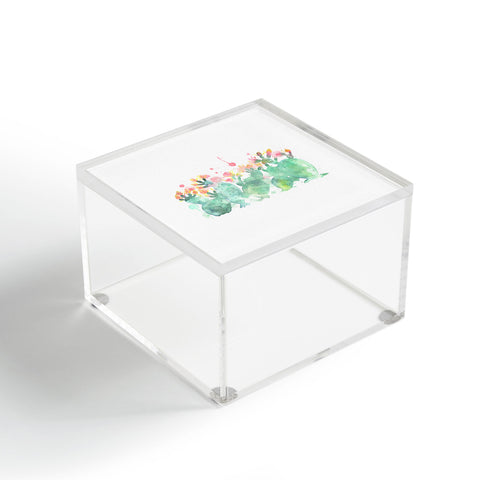 Dash and Ash Messy cactus Acrylic Box