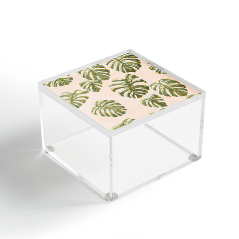 Dash and Ash Palm Oasis Acrylic Box