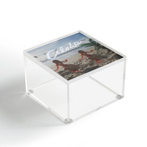 Deb Haugen Aloha Pastel Girls Acrylic Box