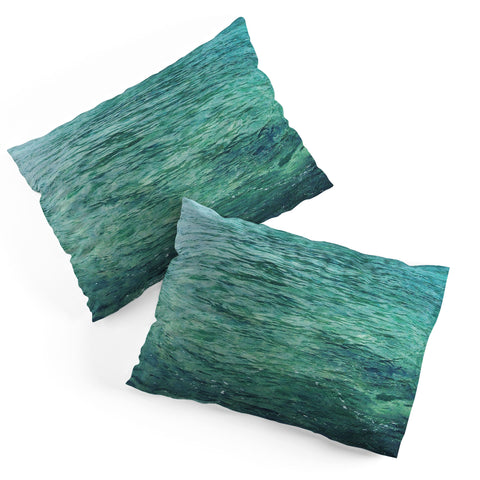 Deb Haugen Aquarelle Pillow Shams