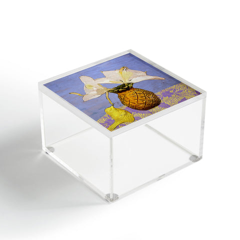 Deb Haugen Baby Bird Acrylic Box