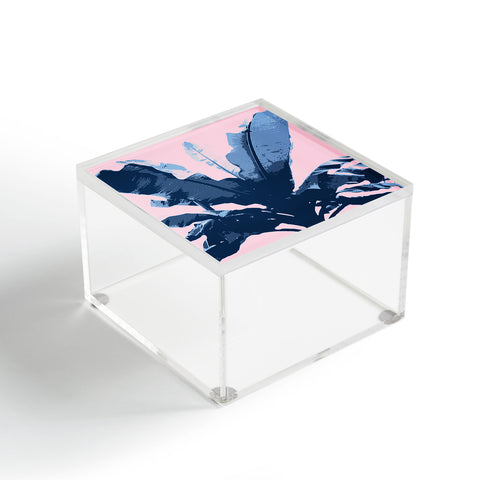 Deb Haugen Bananarama Acrylic Box