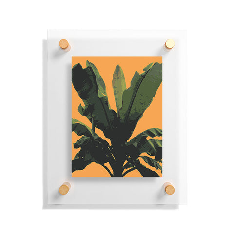 Deb Haugen Bananarama orange Floating Acrylic Print