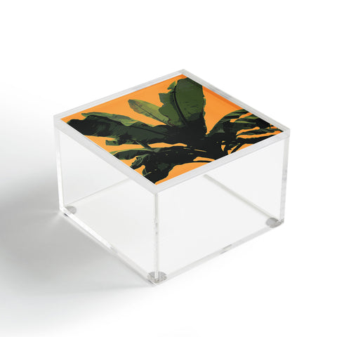 Deb Haugen Bananarama orange Acrylic Box