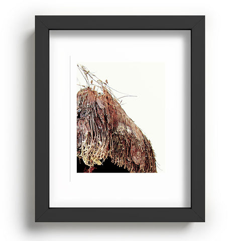 Deb Haugen Coconut 1 Recessed Framing Rectangle