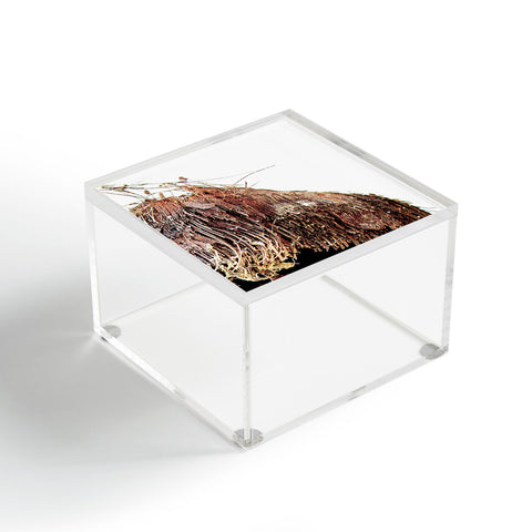 Deb Haugen Coconut 1 Acrylic Box