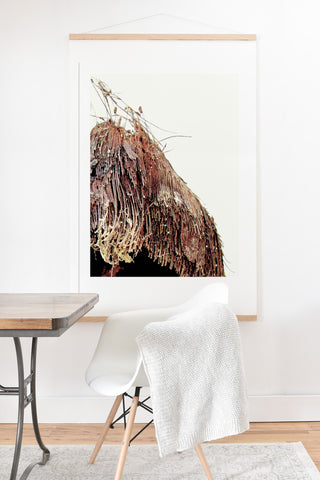 Deb Haugen Coconut 1 Art Print And Hanger