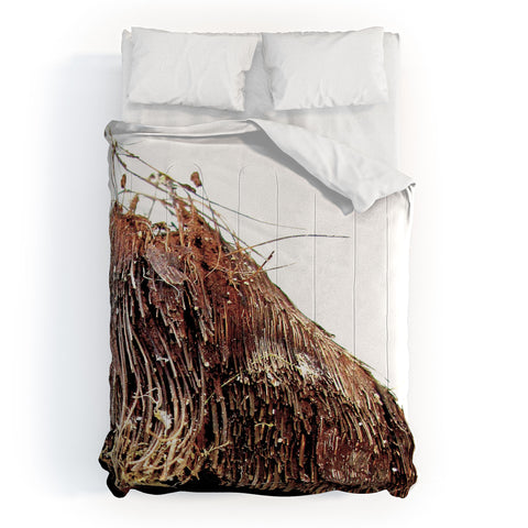 Deb Haugen Coconut 1 Comforter
