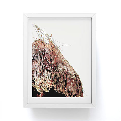 Deb Haugen Coconut 1 Framed Mini Art Print