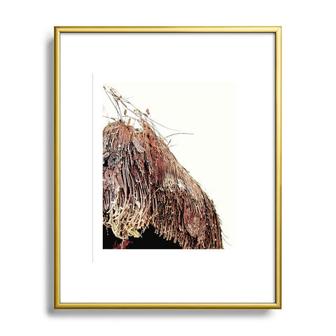 Deb Haugen Coconut 1 Metal Framed Art Print