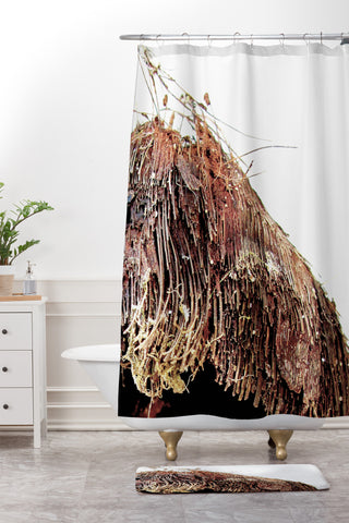 Deb Haugen Coconut 1 Shower Curtain And Mat