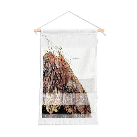 Deb Haugen Coconut 1 Wall Hanging Portrait