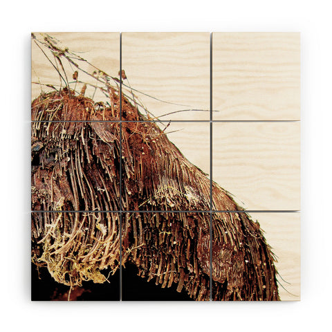 Deb Haugen Coconut 1 Wood Wall Mural