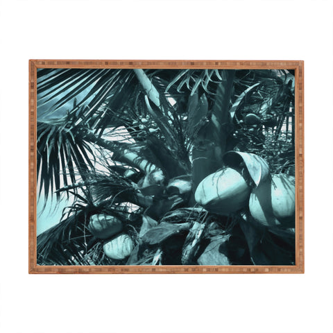 Deb Haugen cool coco Rectangular Tray