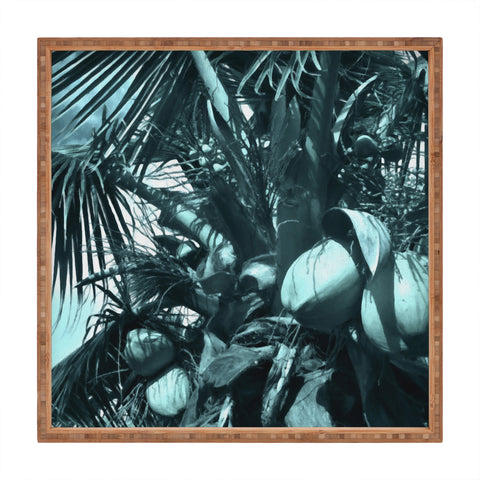 Deb Haugen cool coco Square Tray