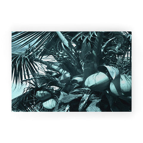 Deb Haugen cool coco Welcome Mat