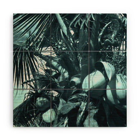 Deb Haugen cool coco Wood Wall Mural