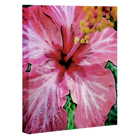 Deb Haugen Crozier 1 Art Canvas