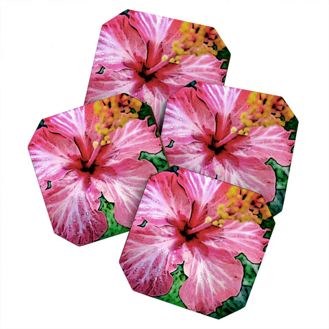 Deb Haugen Crozier 1 Coaster Set