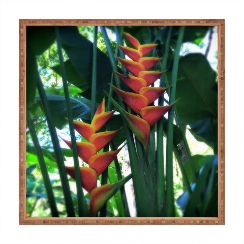 Deb Haugen Haleiwa Heliconia Square Tray