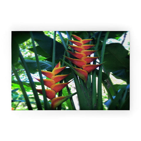 Deb Haugen Haleiwa Heliconia Welcome Mat