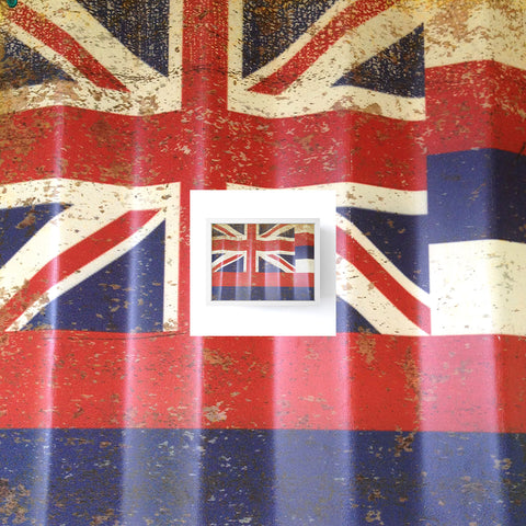 Deb Haugen Hawaiiana Framed Mini Art Print