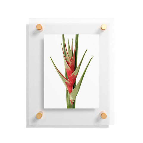 Deb Haugen Heliconia 2 Floating Acrylic Print