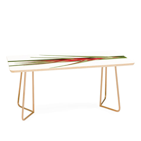 Deb Haugen Heliconia 2 Coffee Table