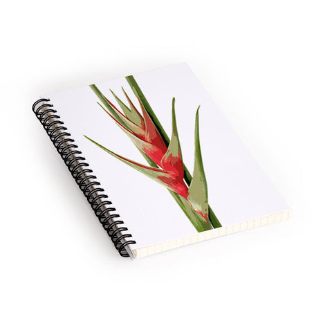 Deb Haugen Heliconia 2 Spiral Notebook