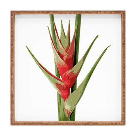 Deb Haugen Heliconia 2 Square Tray